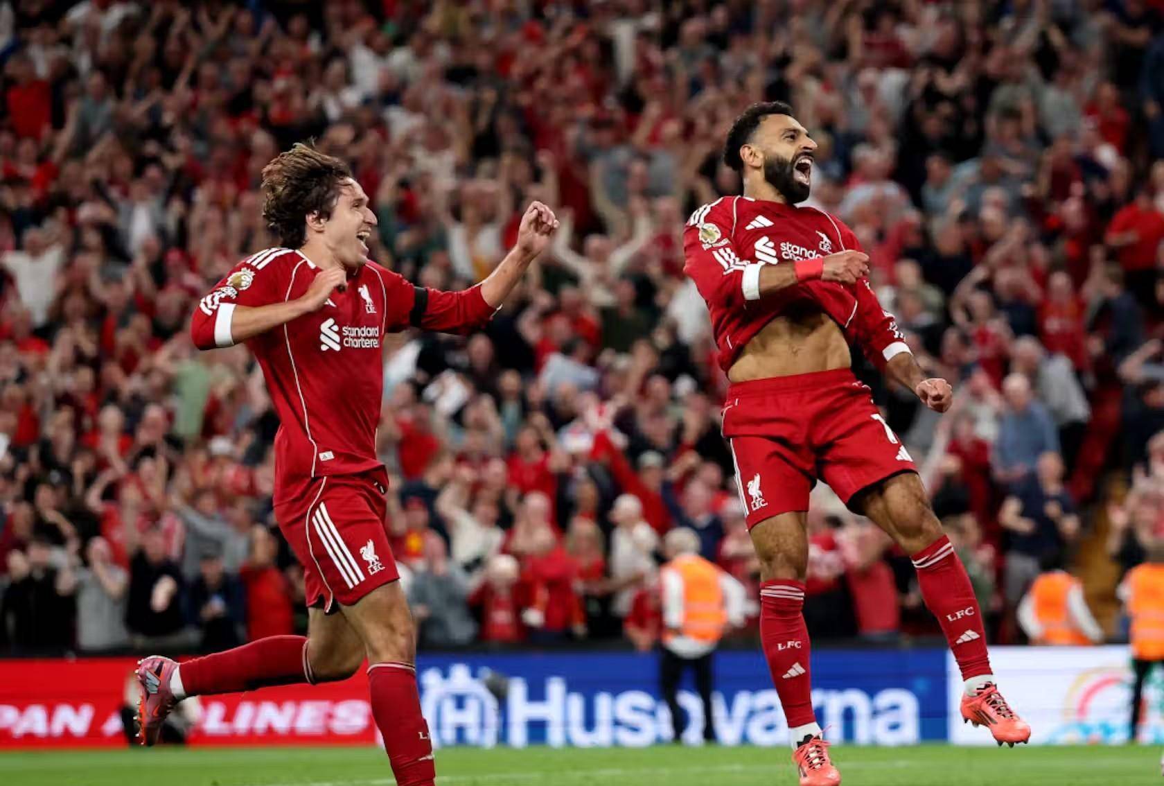 樊振东的正 樊振东的正